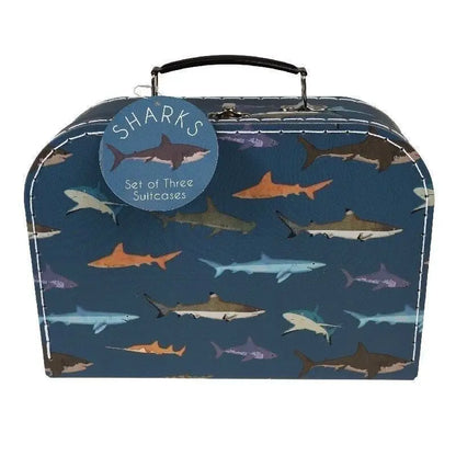 Sharks Storage Cases Set of 3