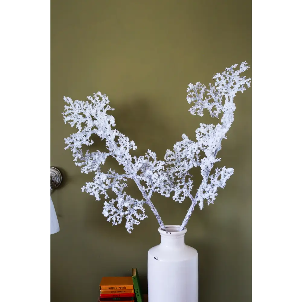Snowy Branch