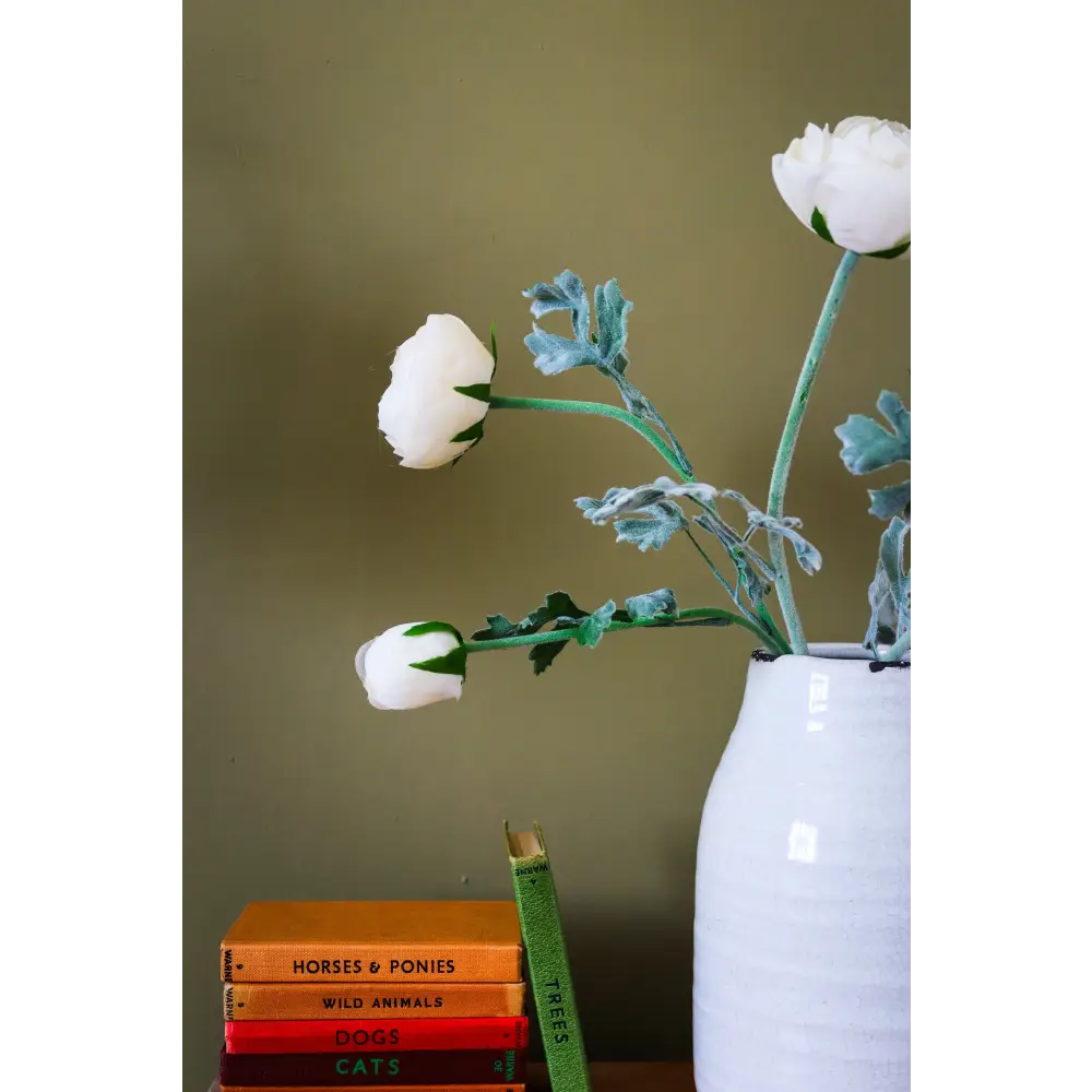 Soft Cream Ranunculus Stem