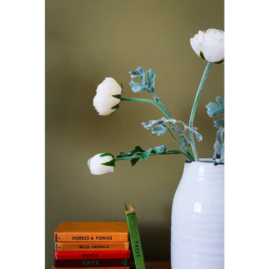 Soft Cream Ranunculus Stem