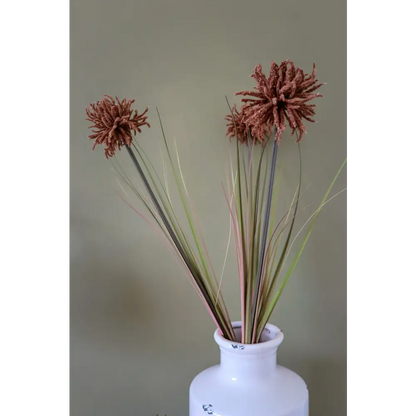 Tan Aster Spider Chrysanthemum Stem