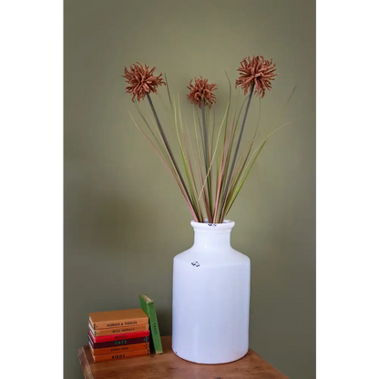 Tan Aster Spider Chrysanthemum Stem