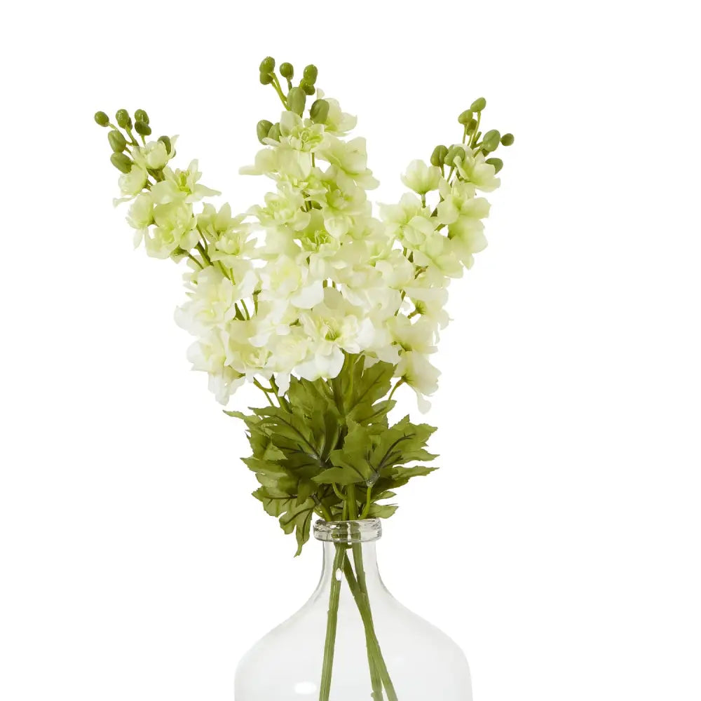 White Elatum Delphinium