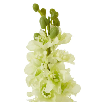 White Elatum Delphinium