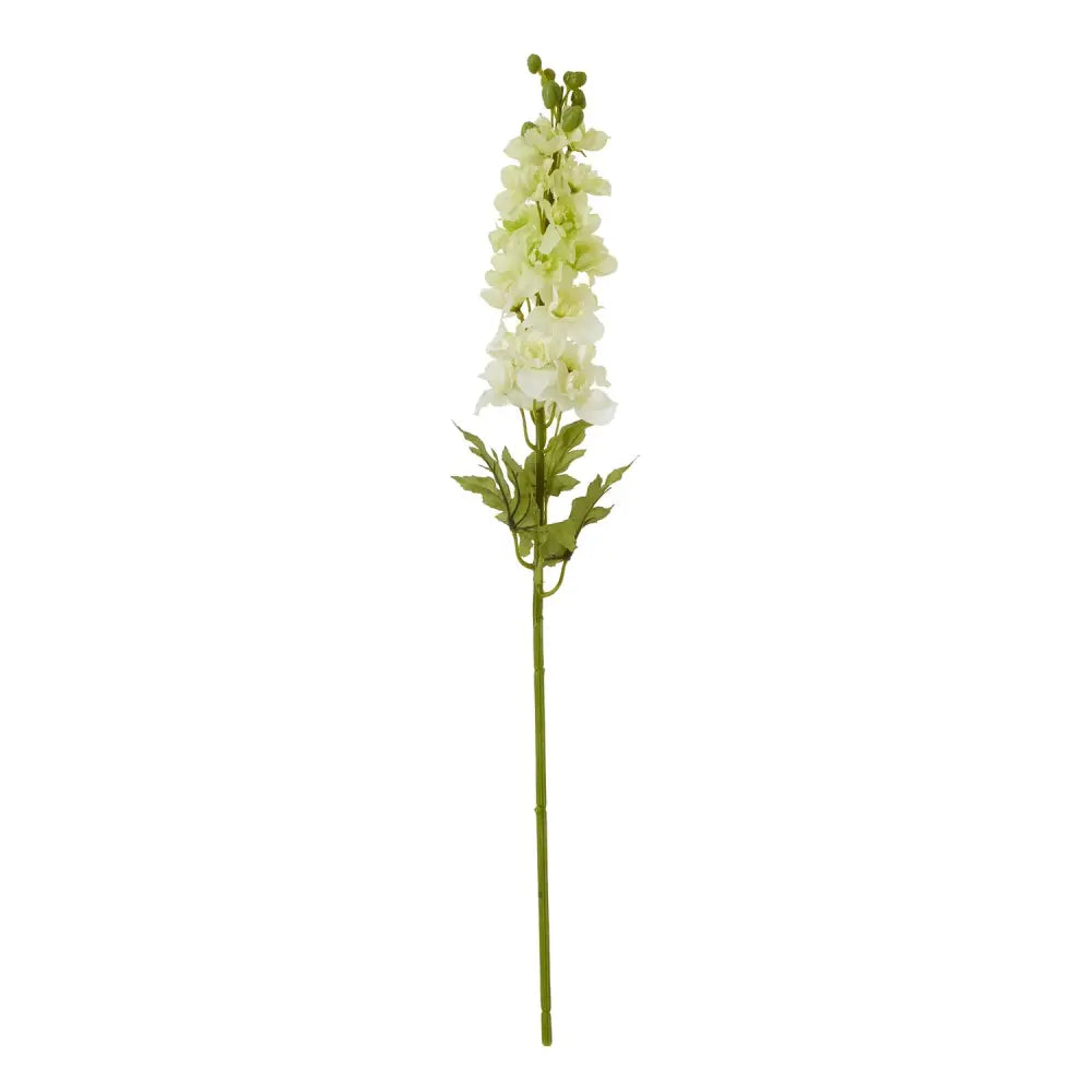 White Elatum Delphinium