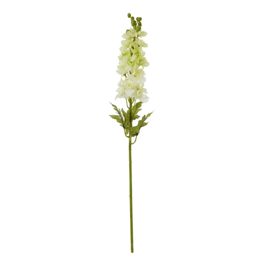 White Elatum Delphinium