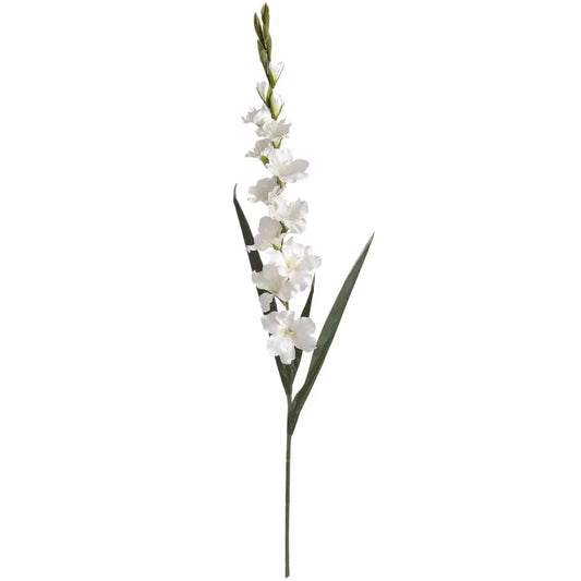 White Gladioli Stem image 0