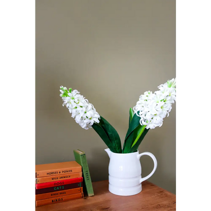White Hyacinth Stem