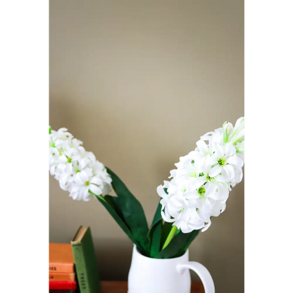 White Hyacinth Stem