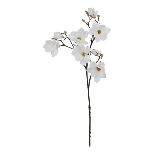 White Magnolia Stem