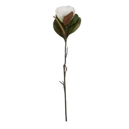 White Magnolia Stem image 0