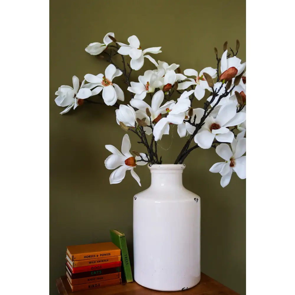 White Magnolia Stem