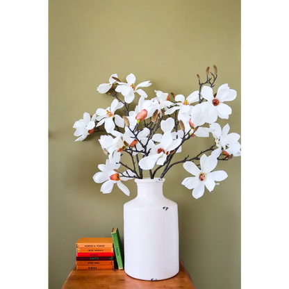 White Magnolia Stem