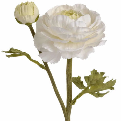 White Ranunculus Spray image 1