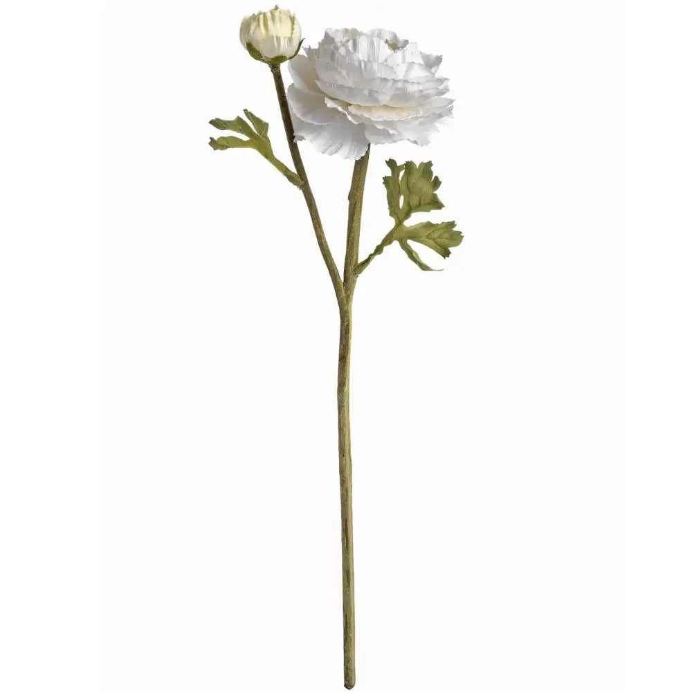 White Ranunculus Spray image 2