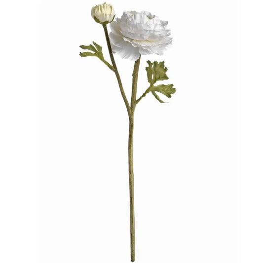 White Ranunculus Spray image 2