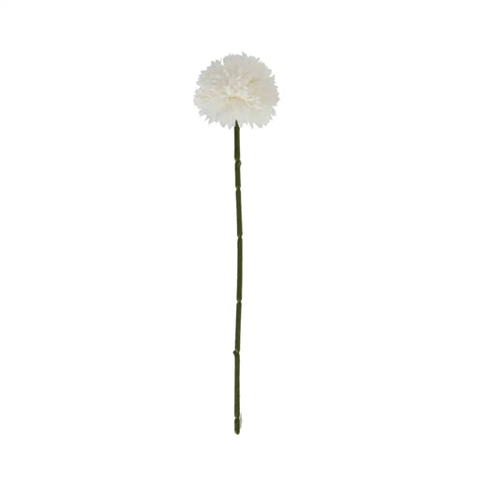 White Short Chrysanthemum image 1