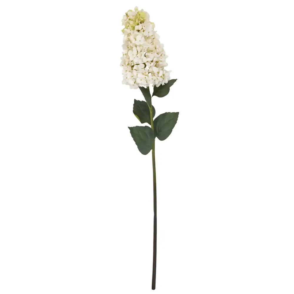 White Spear Hydrangea image 3