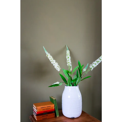 White Veronica Stem