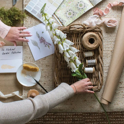 White Foxglove image 0