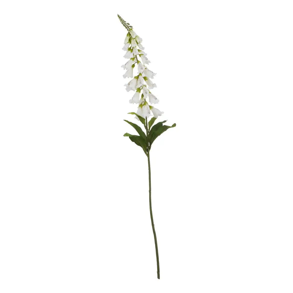 White Foxglove image 2
