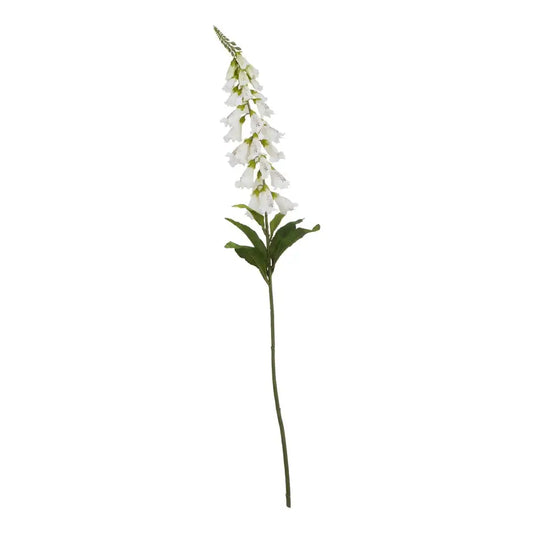 White Foxglove image 2