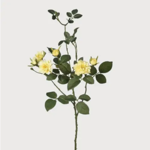 Wild Yellow Rose Spray image 0